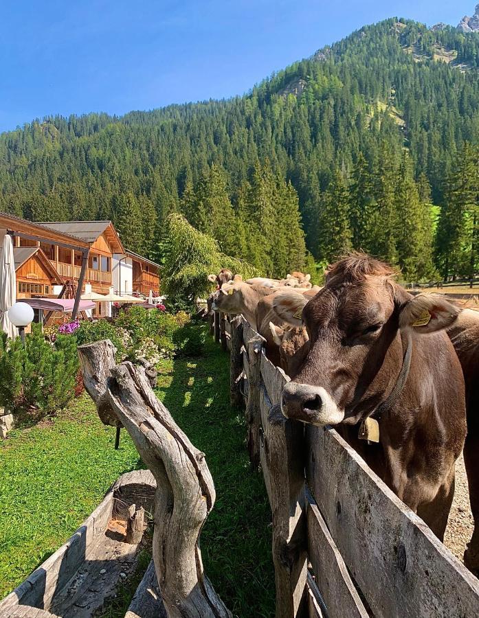 Alpin Natur Hotel Brueckele Брайес  Экстерьер фото