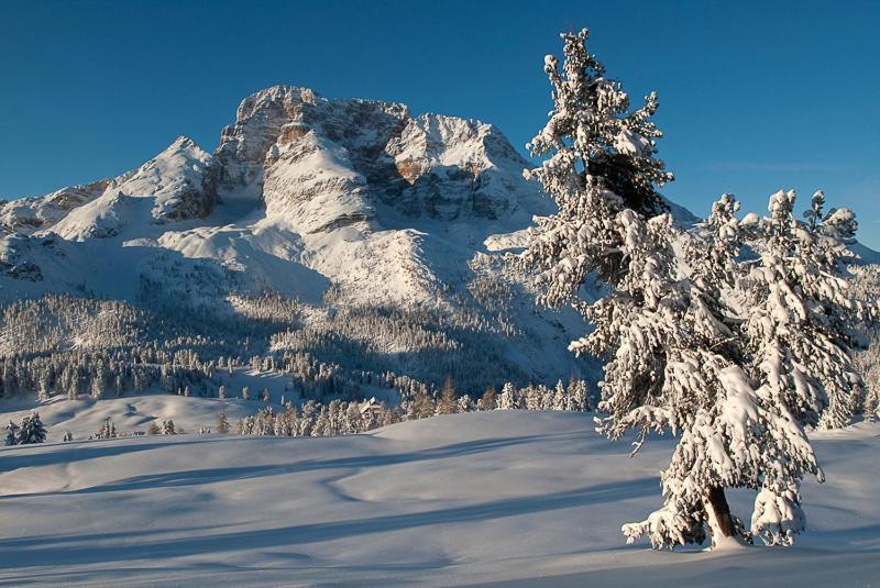 Alpin Natur Hotel Brueckele Брайес  Экстерьер фото